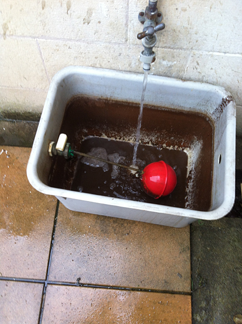 Feed and Expansion Tank